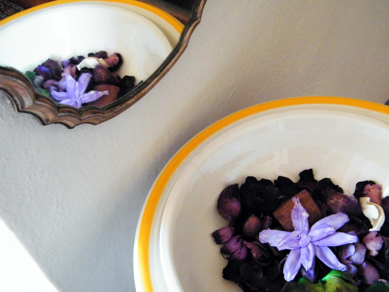 B&B Il Glicine Montefollonico 外观 照片