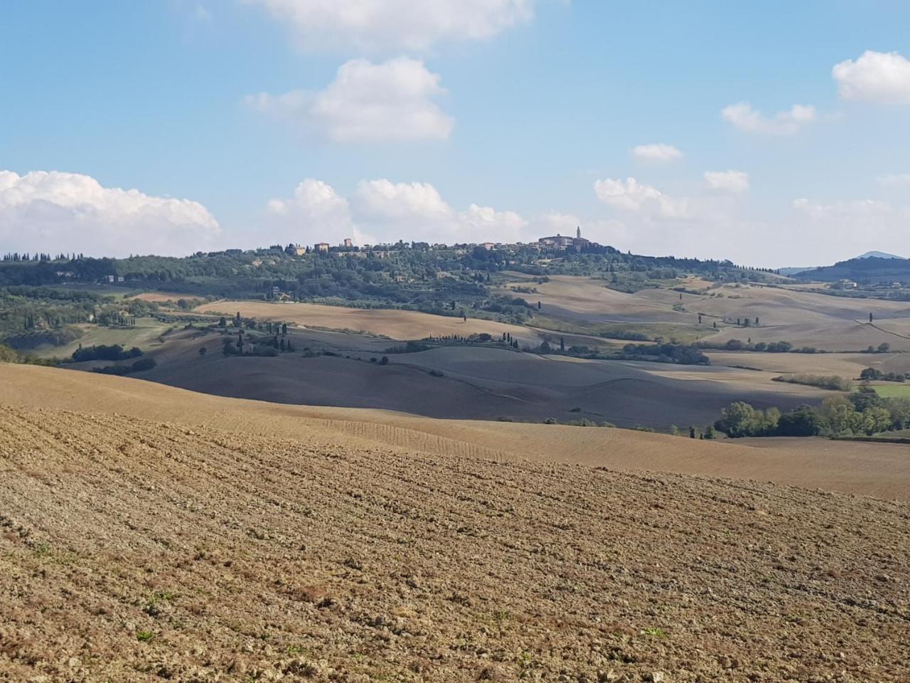 B&B Il Glicine Montefollonico 外观 照片