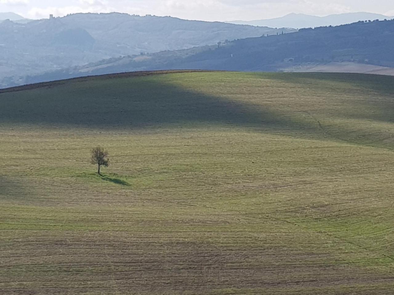 B&B Il Glicine Montefollonico 外观 照片