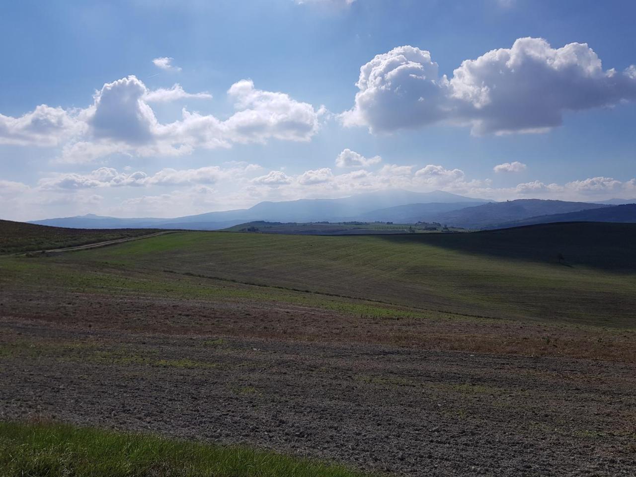 B&B Il Glicine Montefollonico 外观 照片