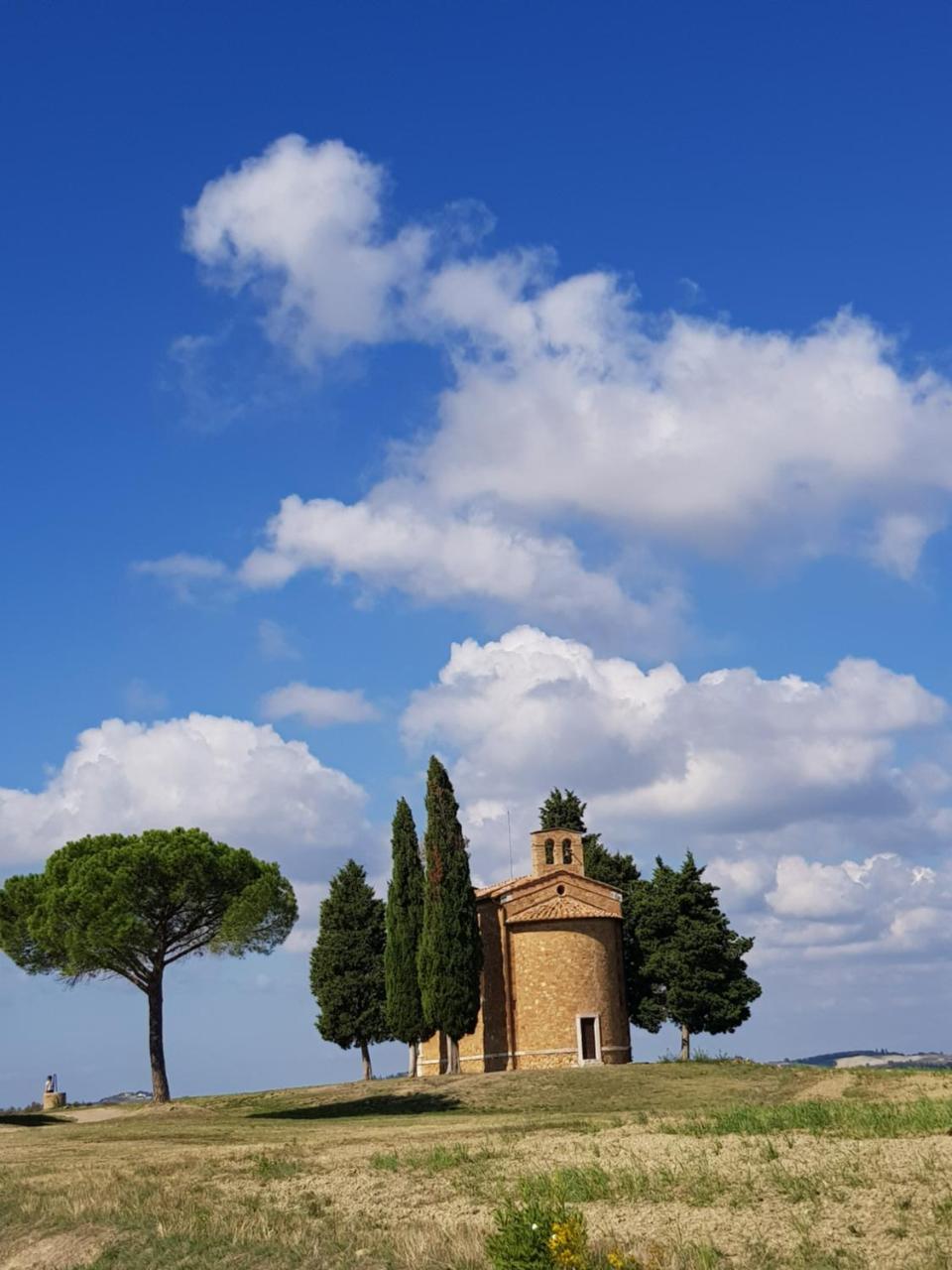 B&B Il Glicine Montefollonico 外观 照片
