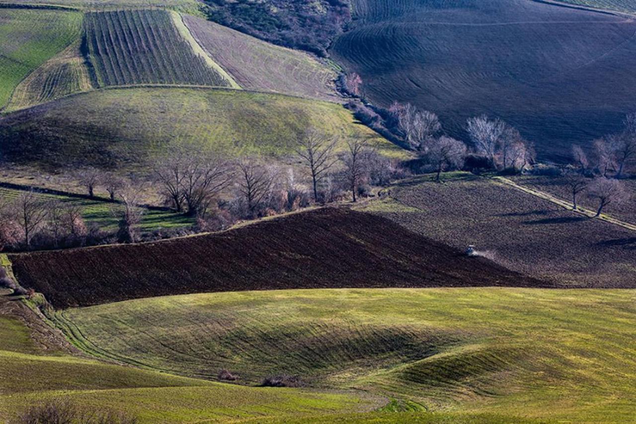 B&B Il Glicine Montefollonico 外观 照片