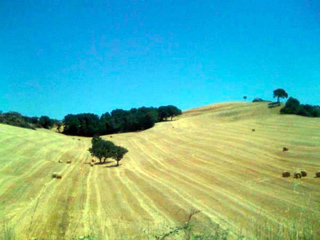 B&B Il Glicine Montefollonico 外观 照片