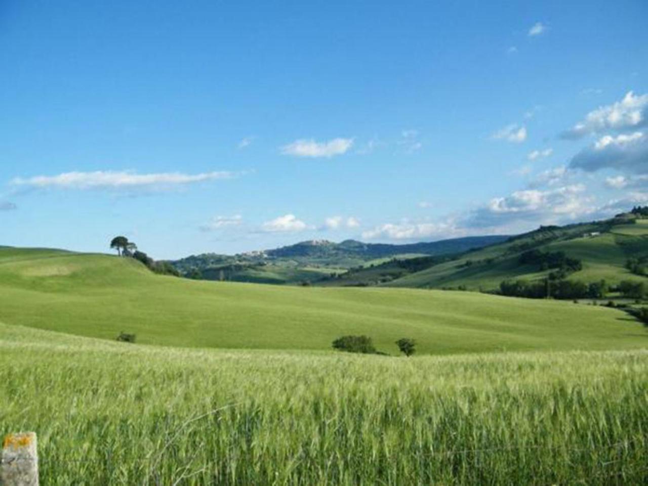 B&B Il Glicine Montefollonico 外观 照片