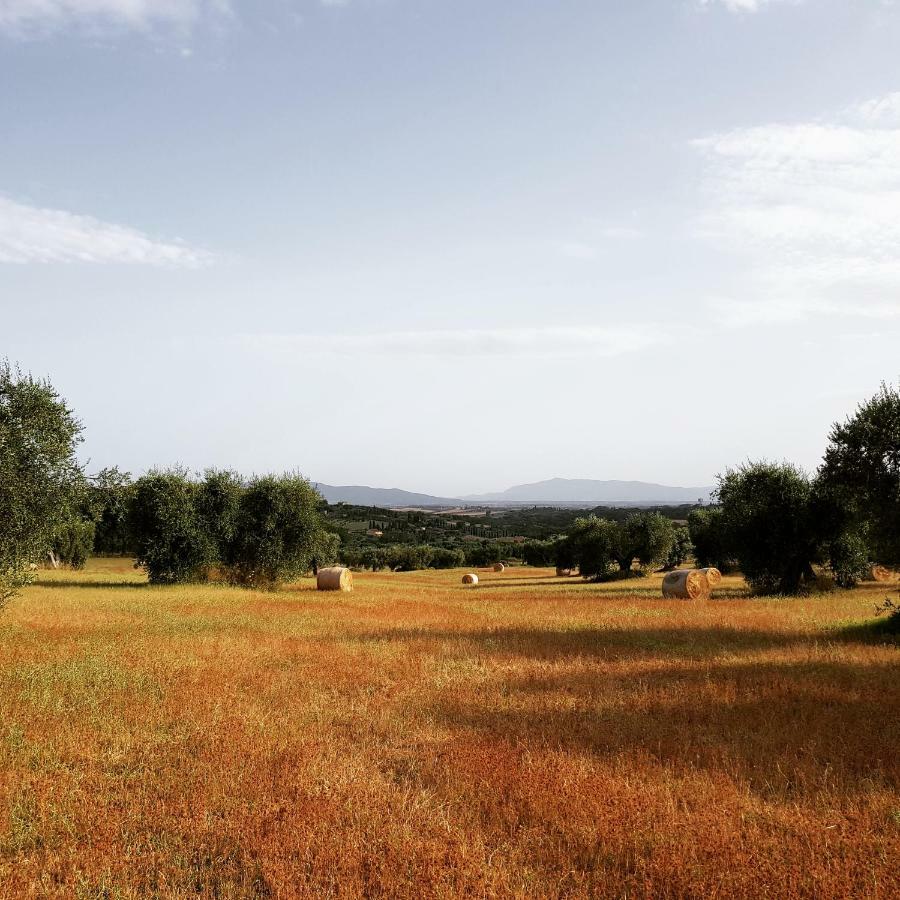 B&B Il Glicine Montefollonico 外观 照片