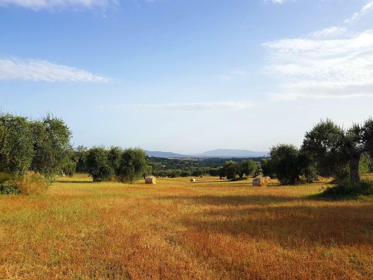 B&B Il Glicine Montefollonico 外观 照片